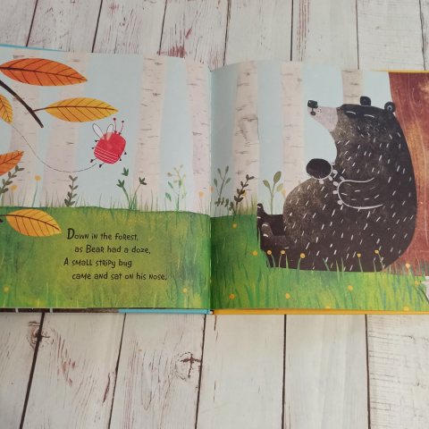 Książka Bug Bear Patricia Hegarty Książka Bug Bear Patricia Hegarty