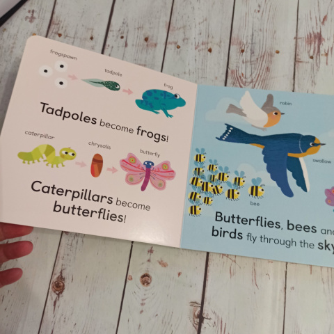 ZOOLOGY for babies ZOOLOGY for babies