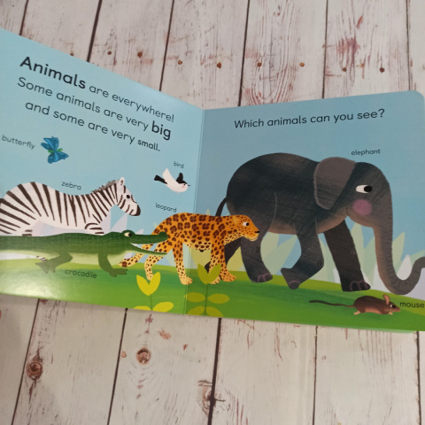 ZOOLOGY for babies ZOOLOGY for babies