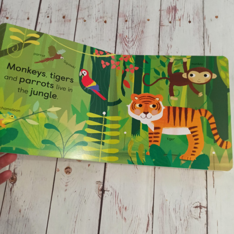 ZOOLOGY for babies ZOOLOGY for babies