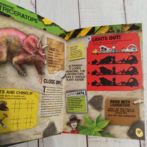 Dinosaur Book of Facts