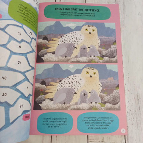 The Big Animal Activity Book