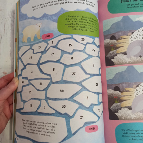 The Big Animal Activity Book